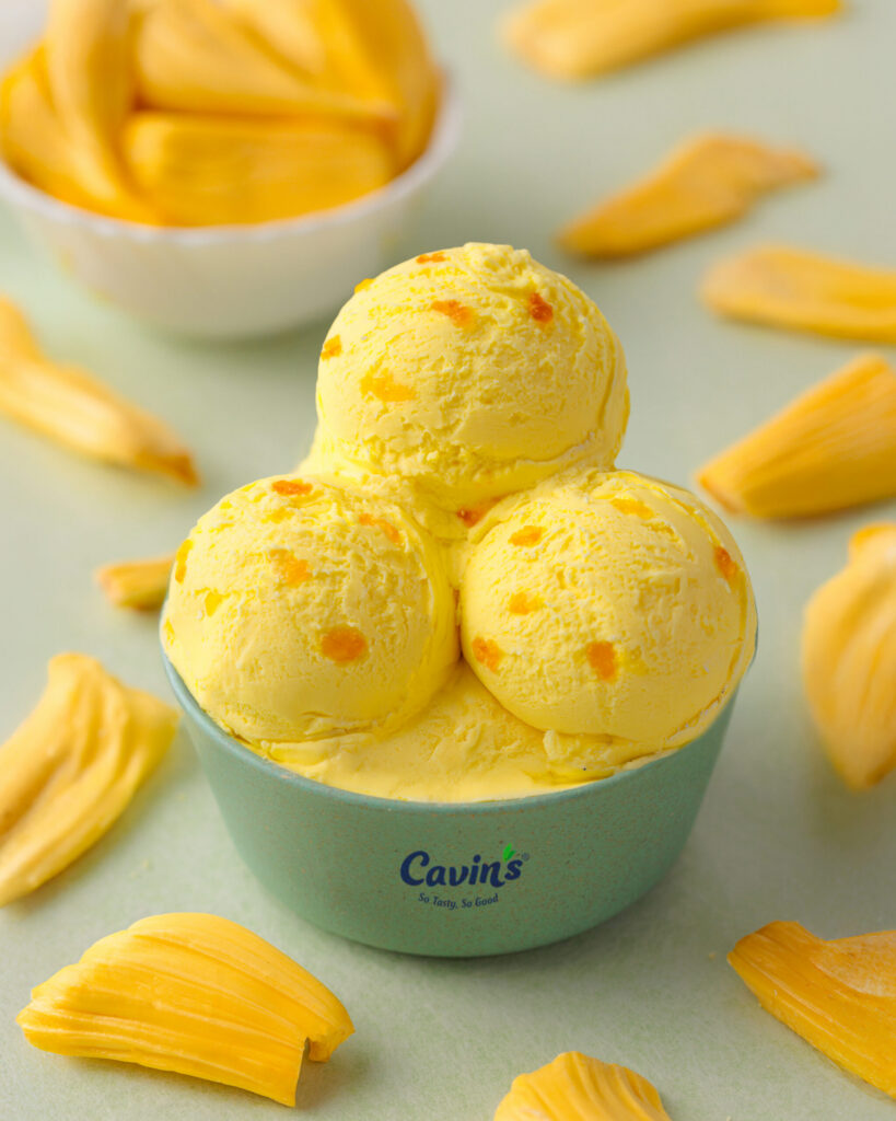 Jackfruit Sensation